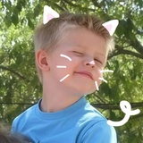 zdjszd