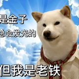 每天都在当狗
