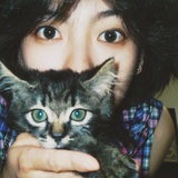 毛毛猫猫
