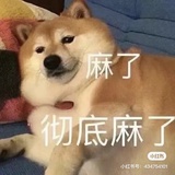 我爱学习