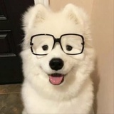kkkk