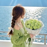 葡萄籽家的家产