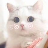 奇奇可可历险记