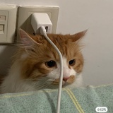 摸摸路飞大脑瓜