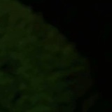 xfxxxxx