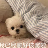 轻轻✨