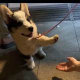 拿下拿下拿下