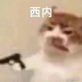 混吃等死的战士