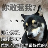 踏云射月