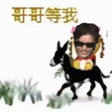 芒果杀手kqb
