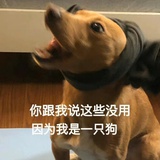 吉祥鲑鱼