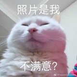 笨蛋超超