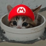 我是猫里奥