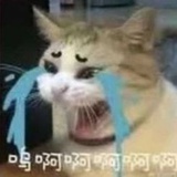 是一只风筝啊