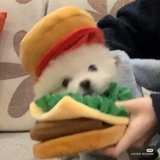西南特困生