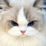 没有原谅的义务