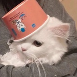 Marie