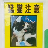 猛猫注意