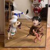 无聊人士