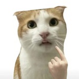 双喜