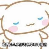 琳狼赢