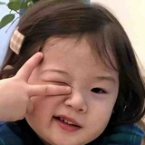 今天更博学了吗