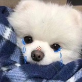 无限期着迷