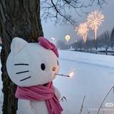 我紫薯芋泥
