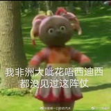 非洲大呲花