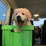 李琰（乌景湾镇