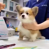 深井冰