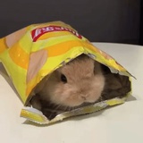 风荷