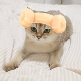 猫友记
