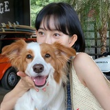 O饼O