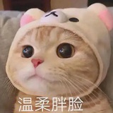 玫瑰色的Ni
