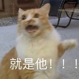 专业陪跑运动员