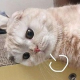 多看书少动情