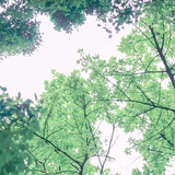 烧不开的隔夜水