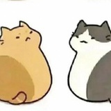 你在傻笑什么