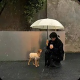 豆友242323812