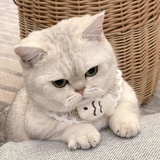 搬砖去了
