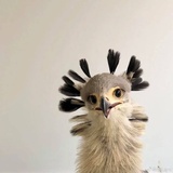 钟隐后主
