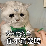 豆友242381427