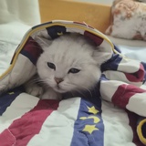 合适就谈恋爱