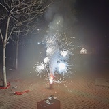 毓贞