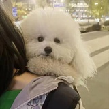 榴莲碎碎冰