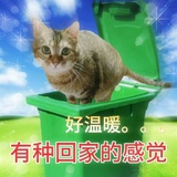 扒拉扒拉