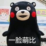zjh乖乖