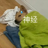 豆友242868680