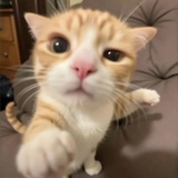 ；